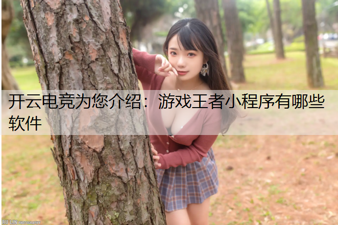 游戏王者小程序有哪些软件
